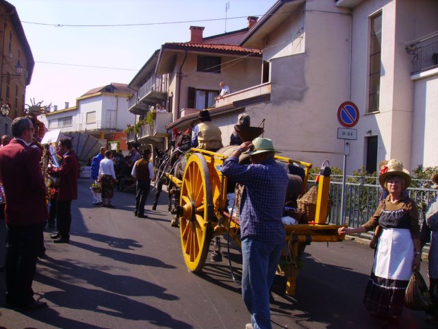 carrufestadelluva11.jpg