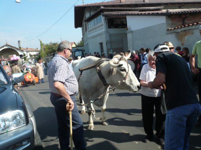 p1020310.jpg