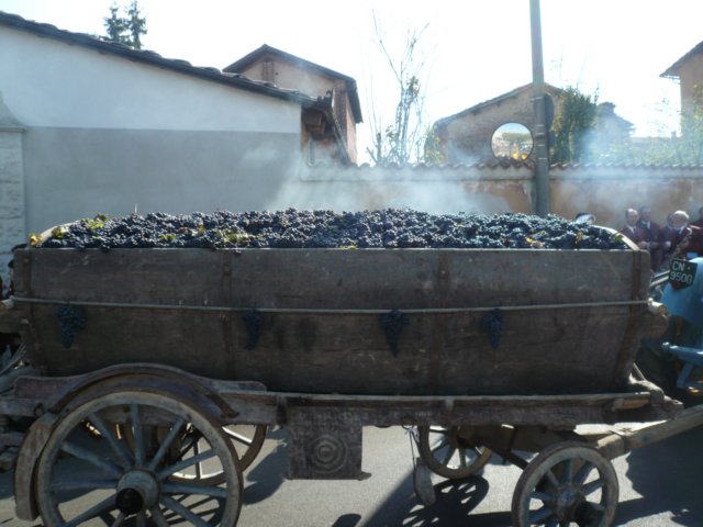 p1020312.jpg