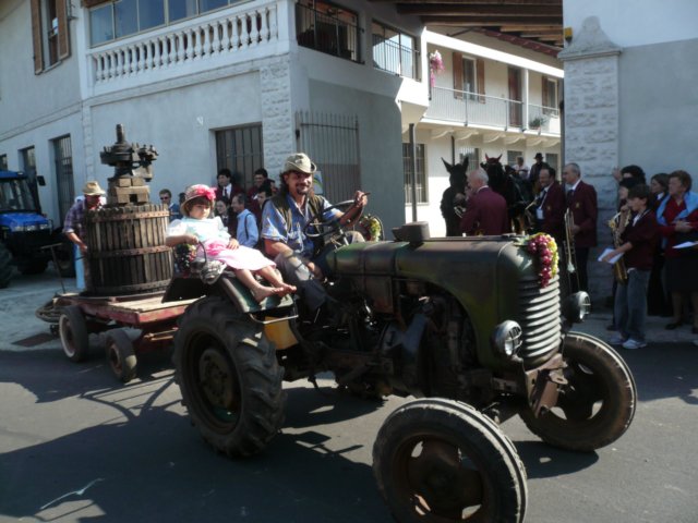 p1020317.jpg