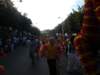 p1020329_small.jpg