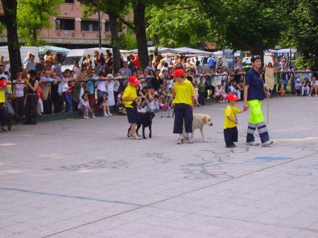 sfilataviaxxmiglia32.jpg