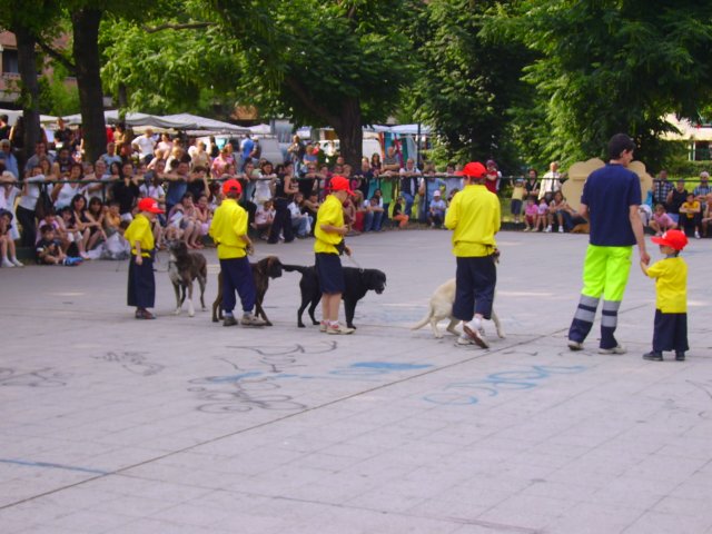 sfilataviaxxmiglia33.jpg